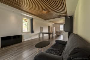Appartement Marcelly à la vente en exclusivité chez Alpimmorama, l'agence digitale de la vallée du Giffre à Samoëns - Salon